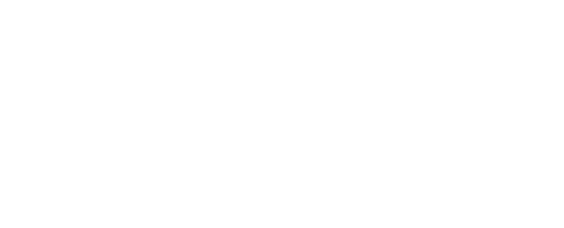 Aceros Argentinos SA